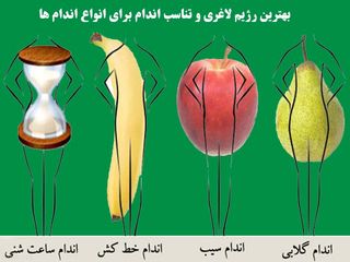 بهترین رژیم لاغری و تناسب اندام برای انواع اندام ها